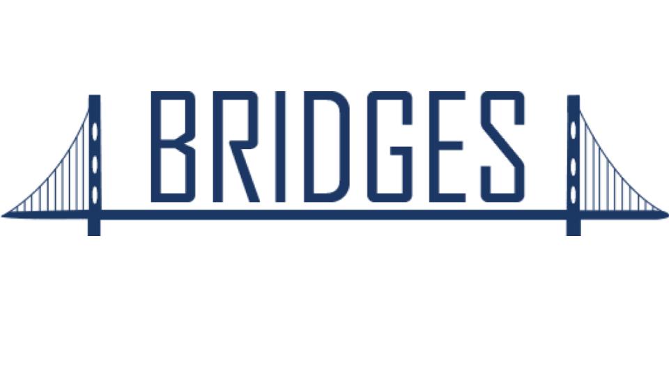 Bridges image.jpg